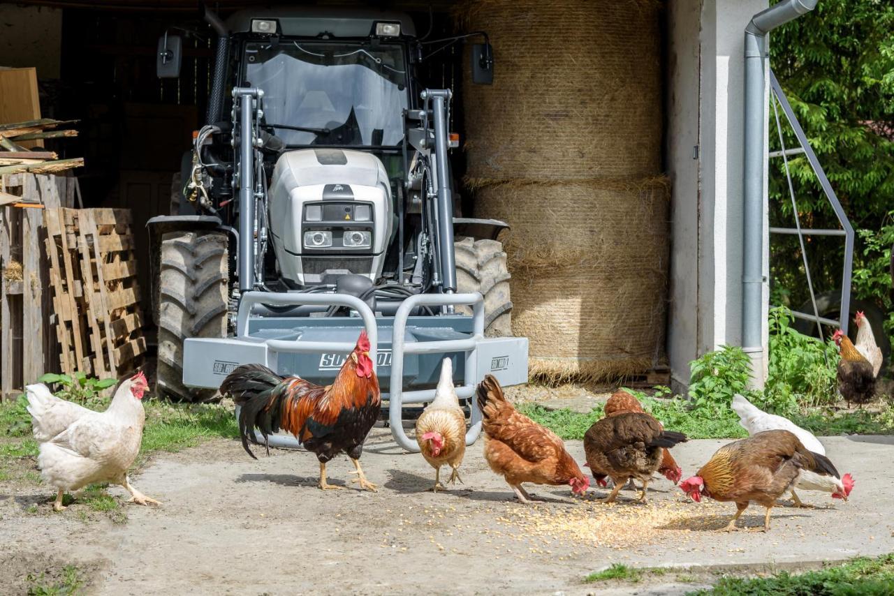 Villa Agroturistika - "Domecek U Ovecek" Horní Těrlicko Exterior foto